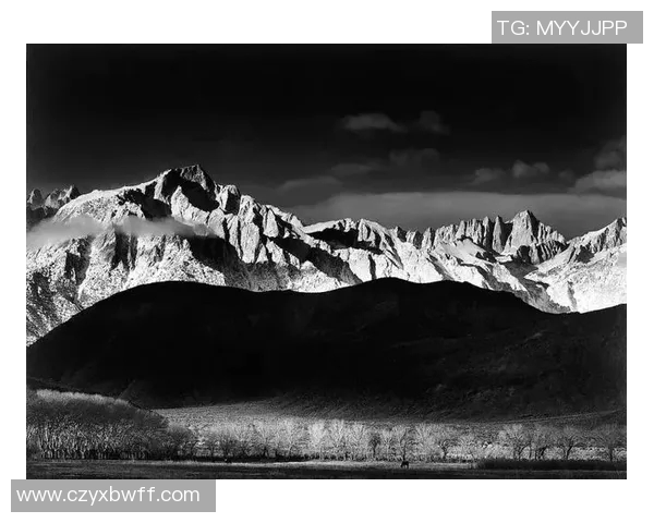 亚当斯的传奇人生与影响力探讨：从历史到现代的启示与反思